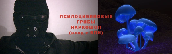 гидра Аркадак