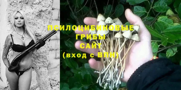 дурь Балахна