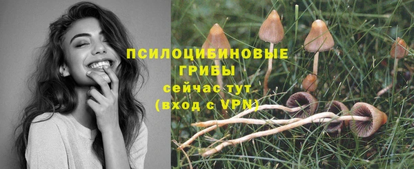 дурь Армянск