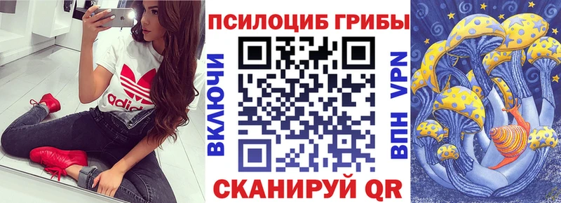 купить  сайты  Борисоглебск  Псилоцибиновые грибы мухоморы 